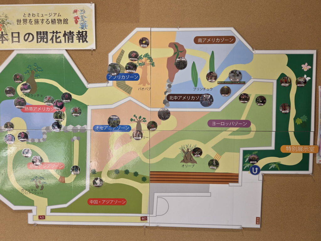 ときわミュージアムの全体MAP