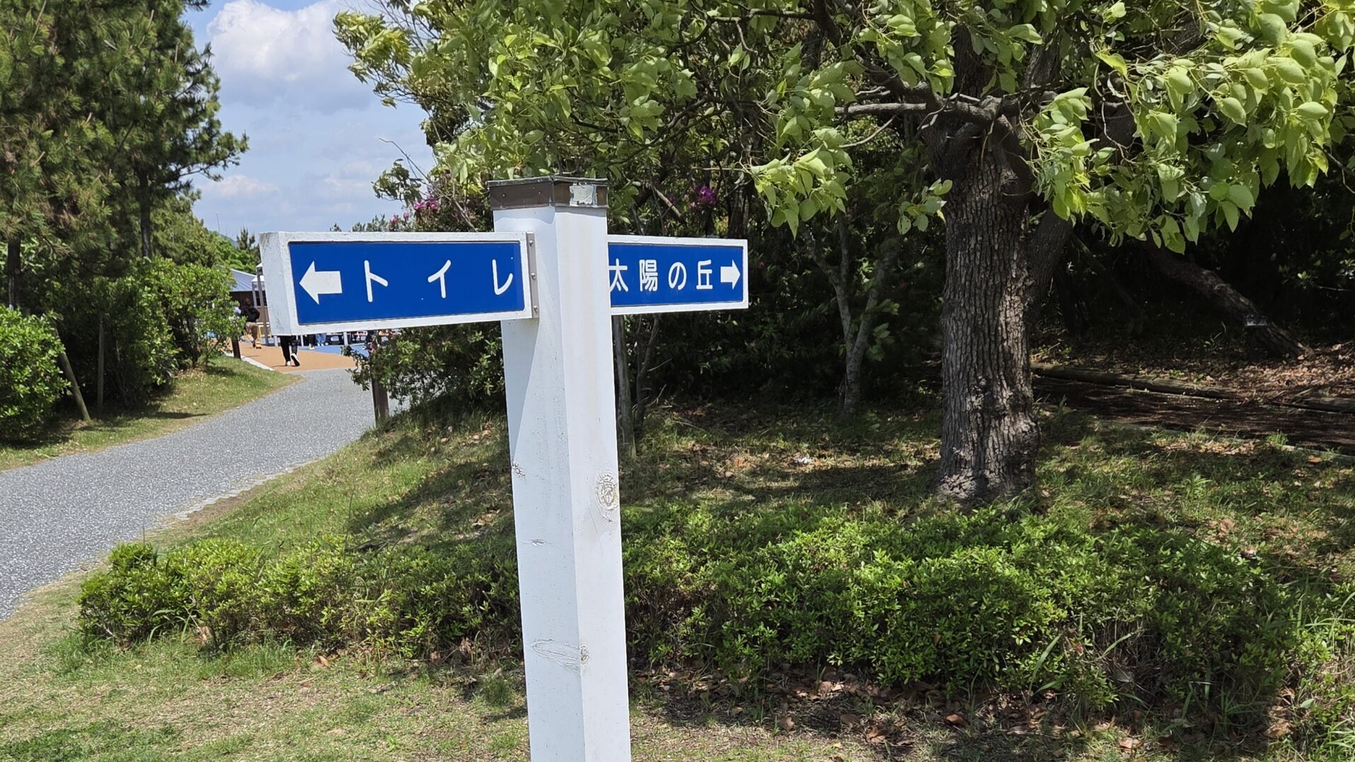 方向案内板