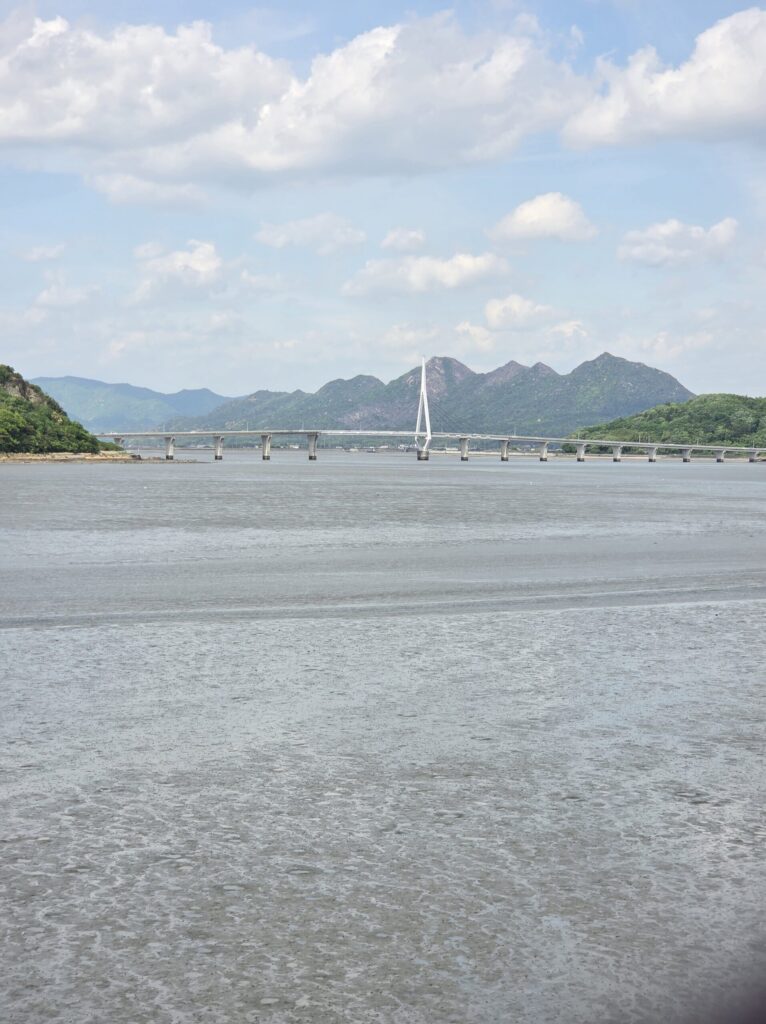 展望デッキから見える橋と海の景色