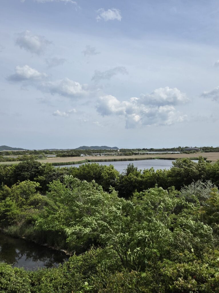 きらら浜自然観察公園の風景