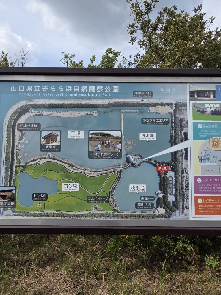 きらら浜自然観察公園の園内マップが描かれた案内板