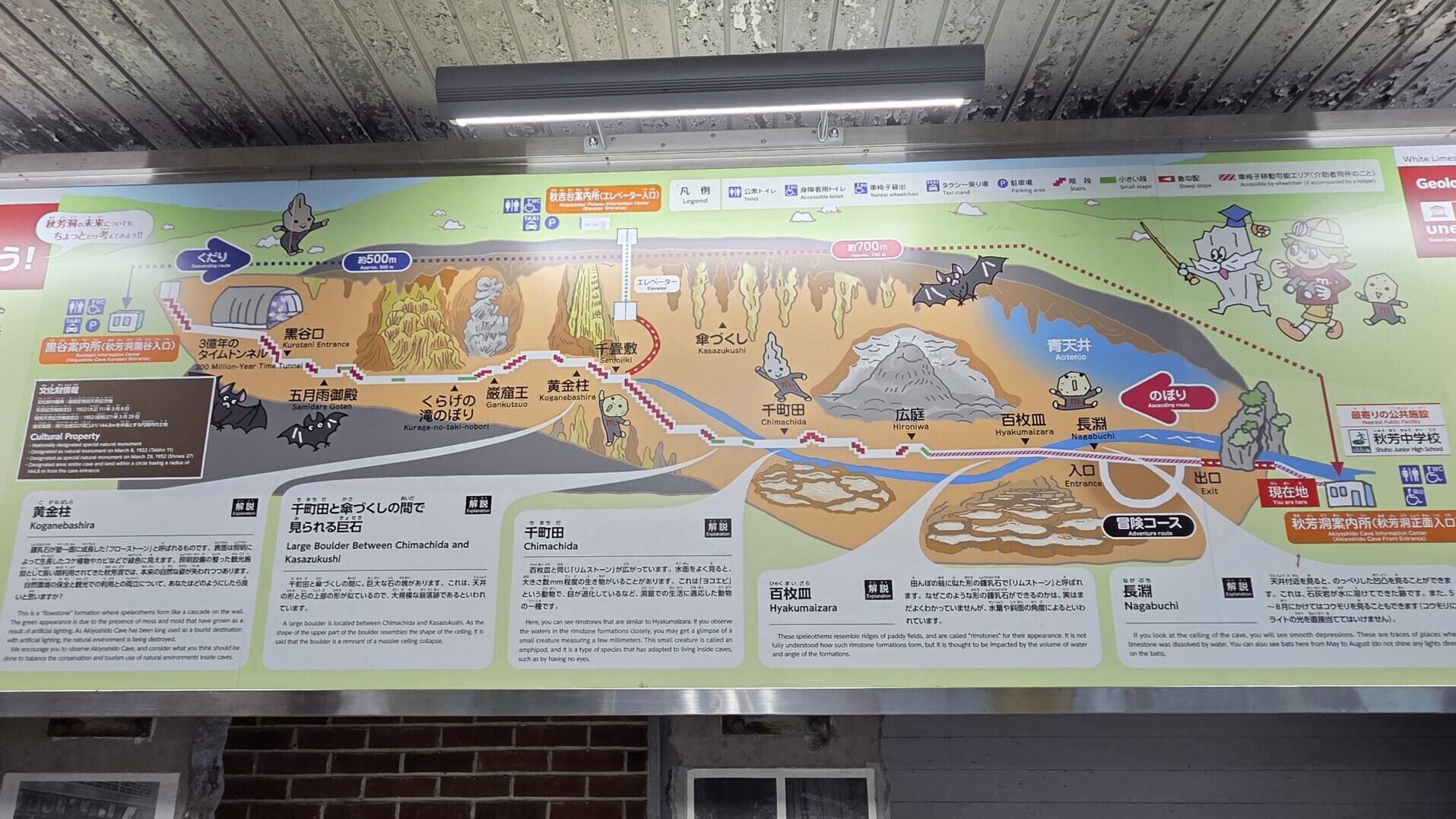 秋芳洞の入口案内板