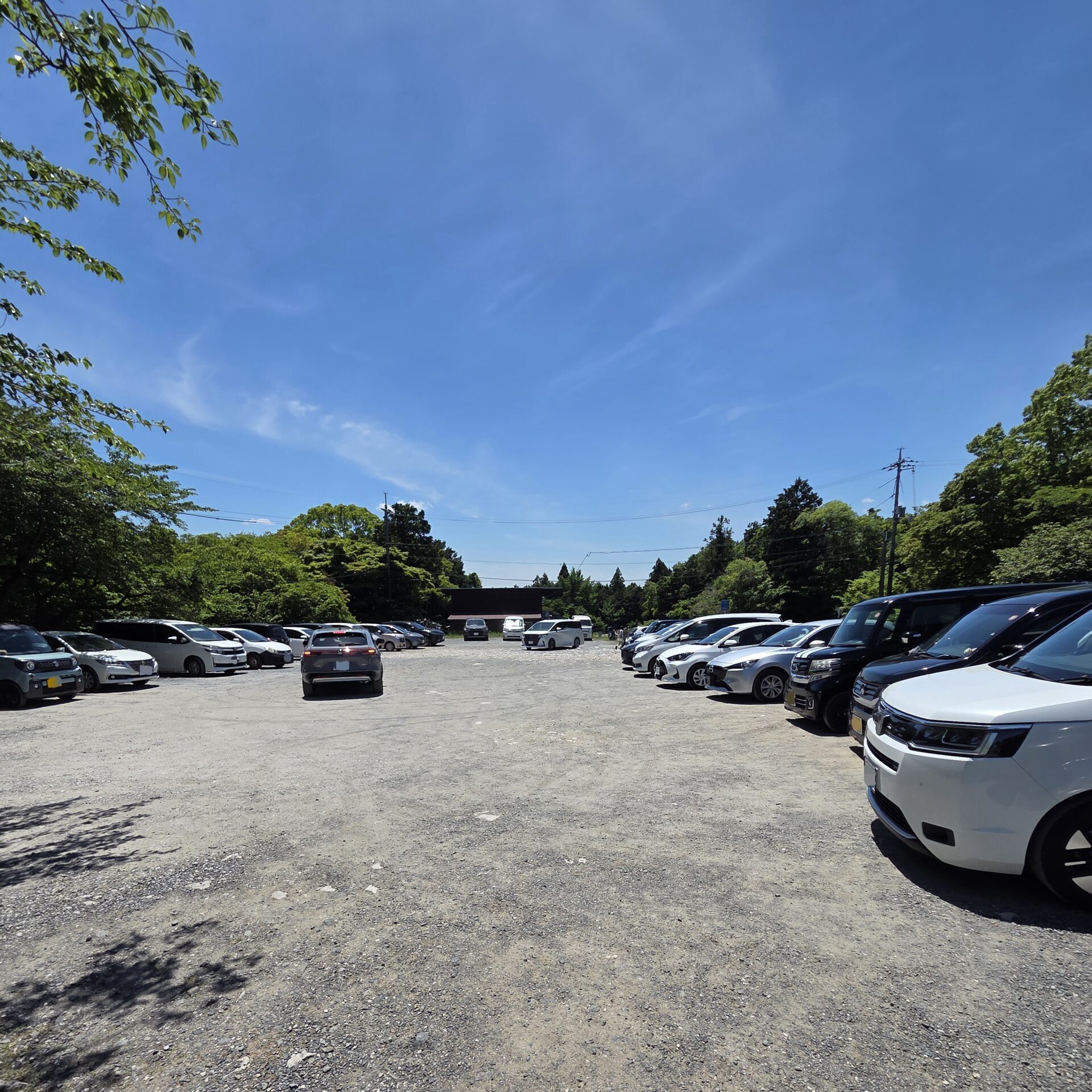 科学博物館横の無料駐車場の様子