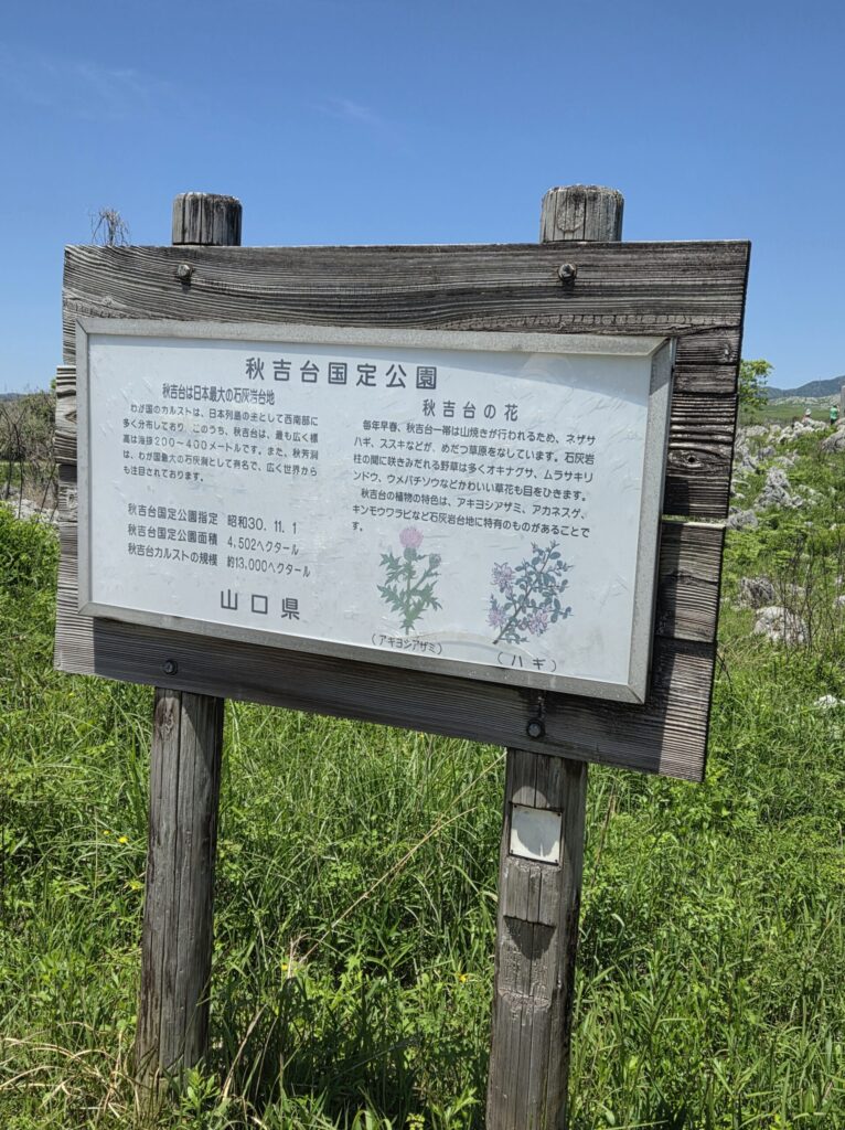 秋吉台国定公園の花の看板