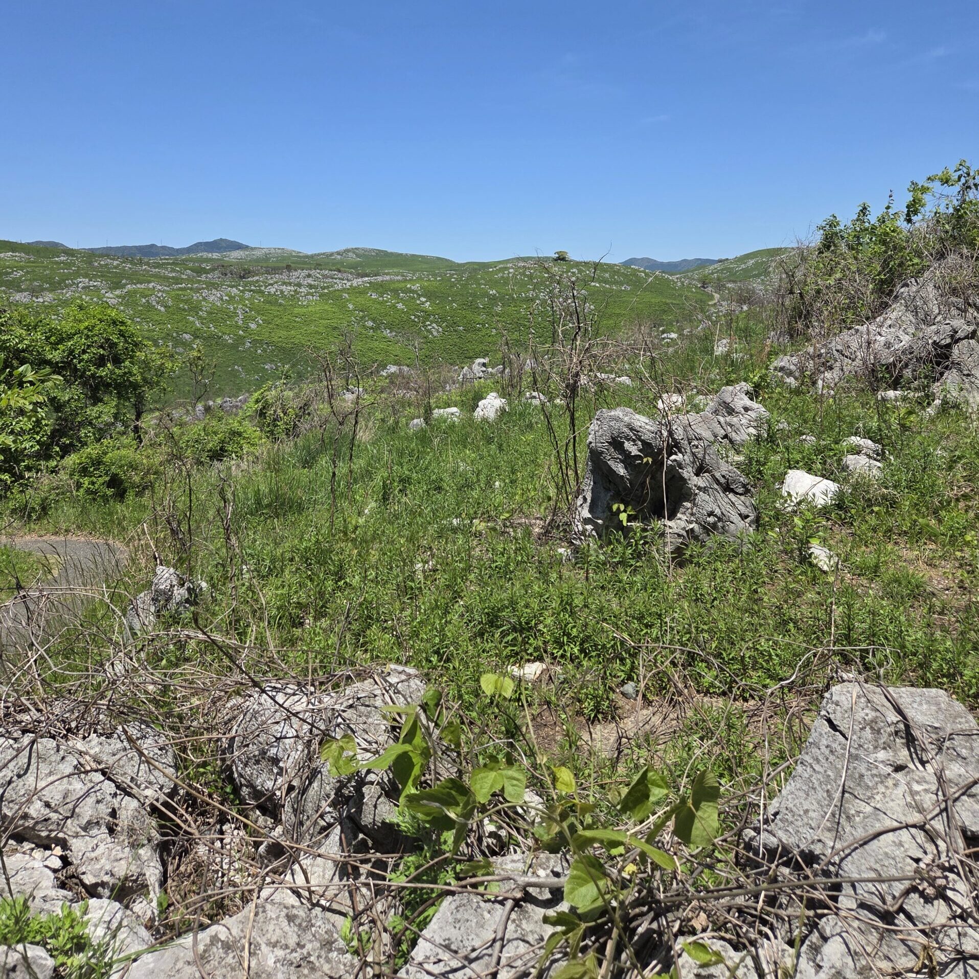 秋吉台の岩場