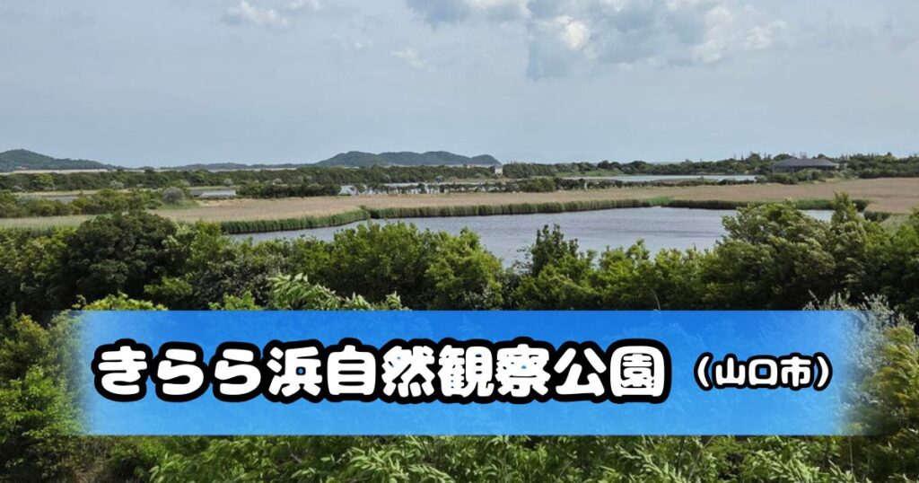きらら浜自然観察公園の観察展望棟から見た景色