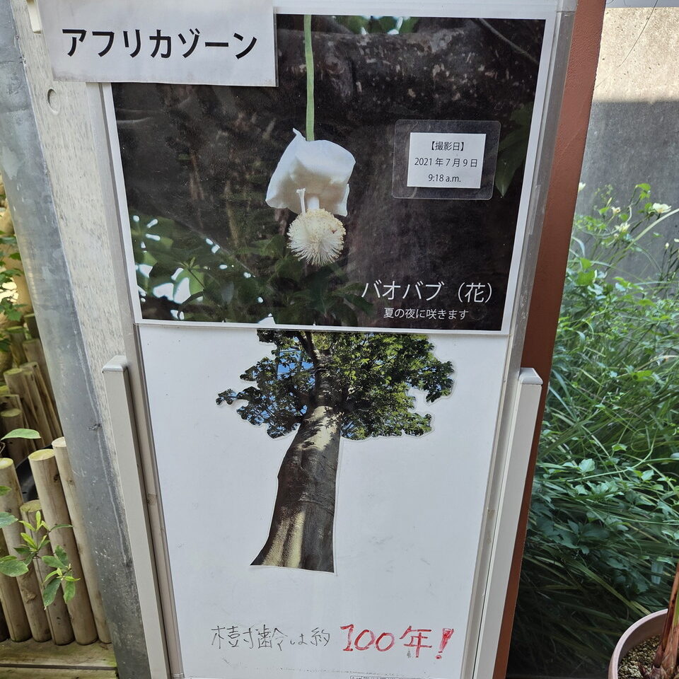 ときわミュージアムアフリカゾーン入口看板