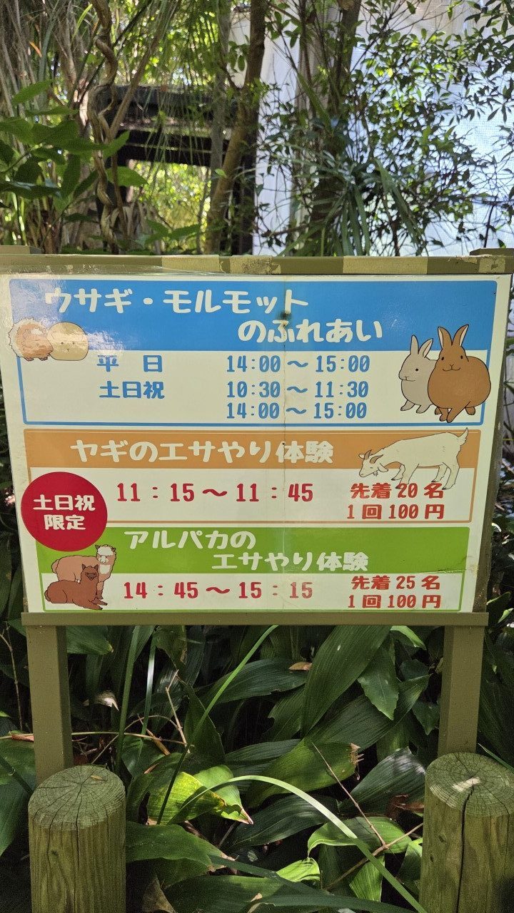 ときわ動物園のふれあい、餌やり案内板