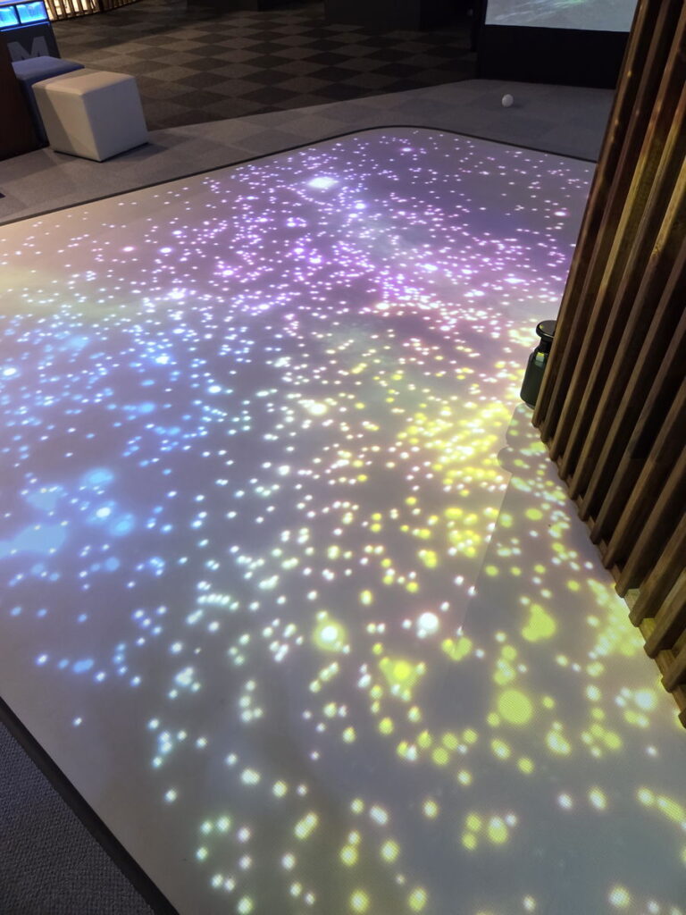 デジタルいきもの探しの床