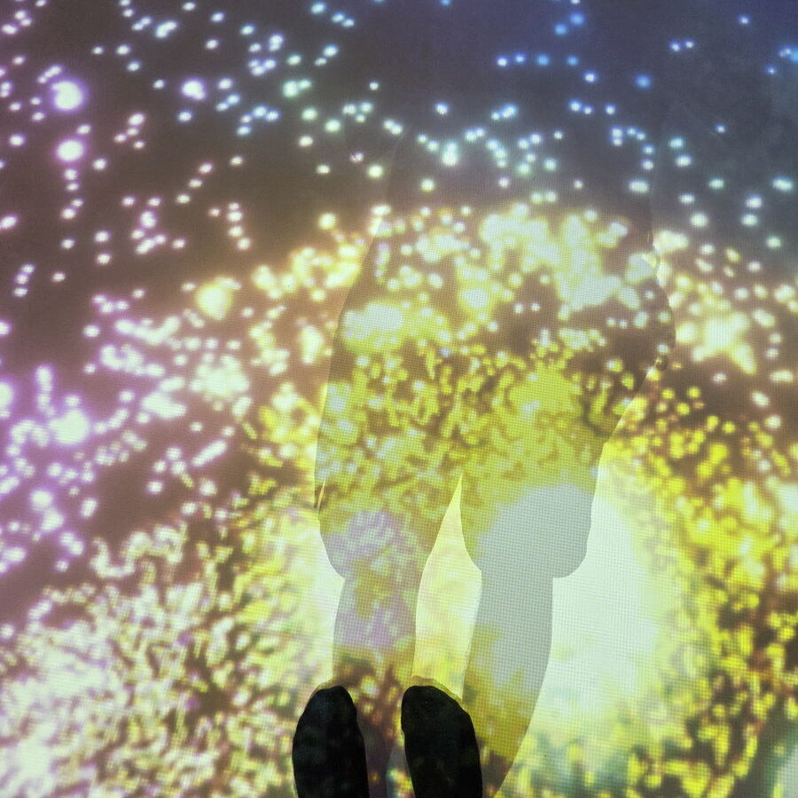 デジタルいきもの探しの歩いた時の床