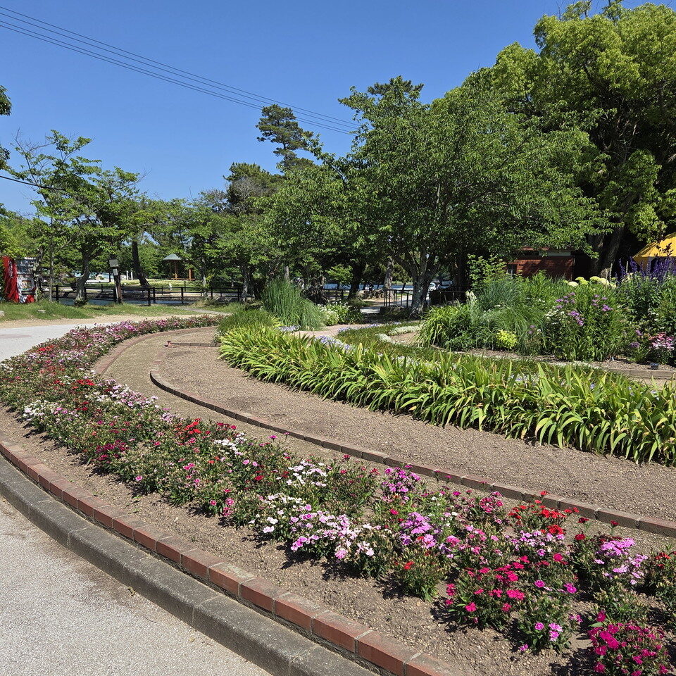 ときわ公園の遊歩道横の花壇