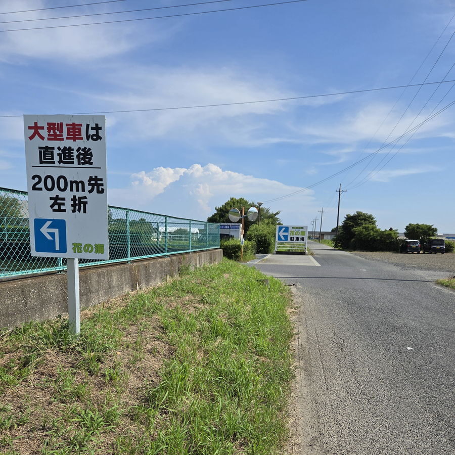 花の海駐車場への道