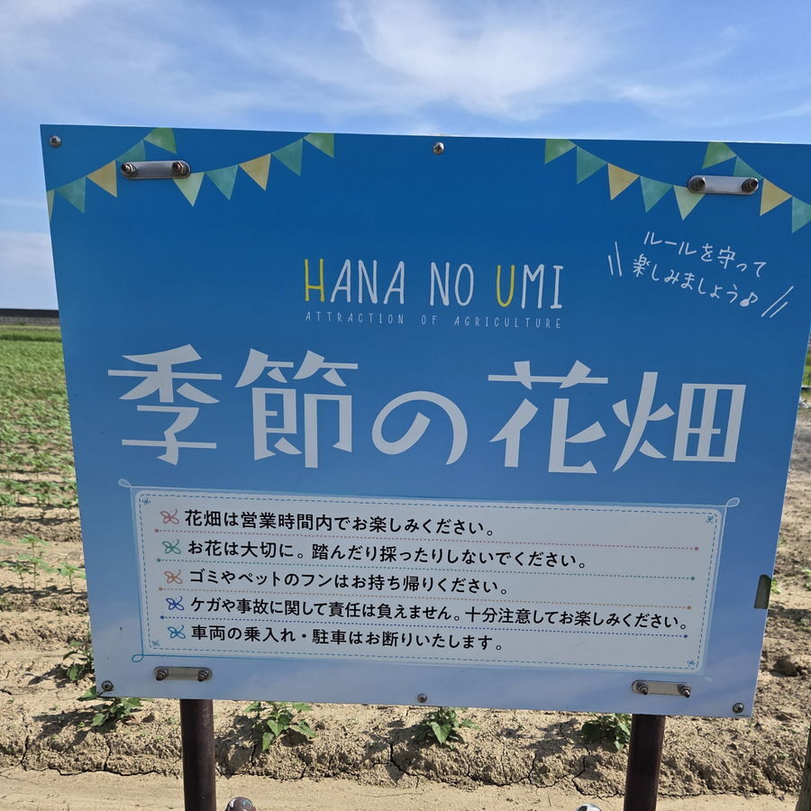 花の海の季節の花畑の看板