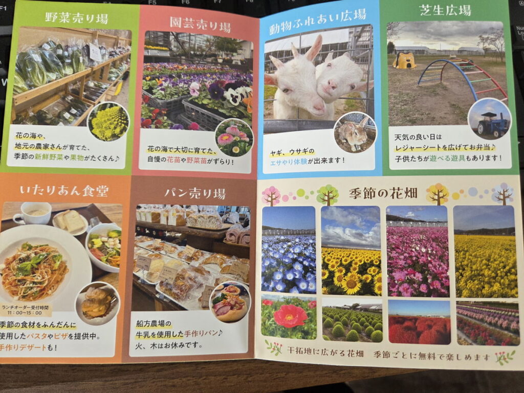 花の海の案内チラシ