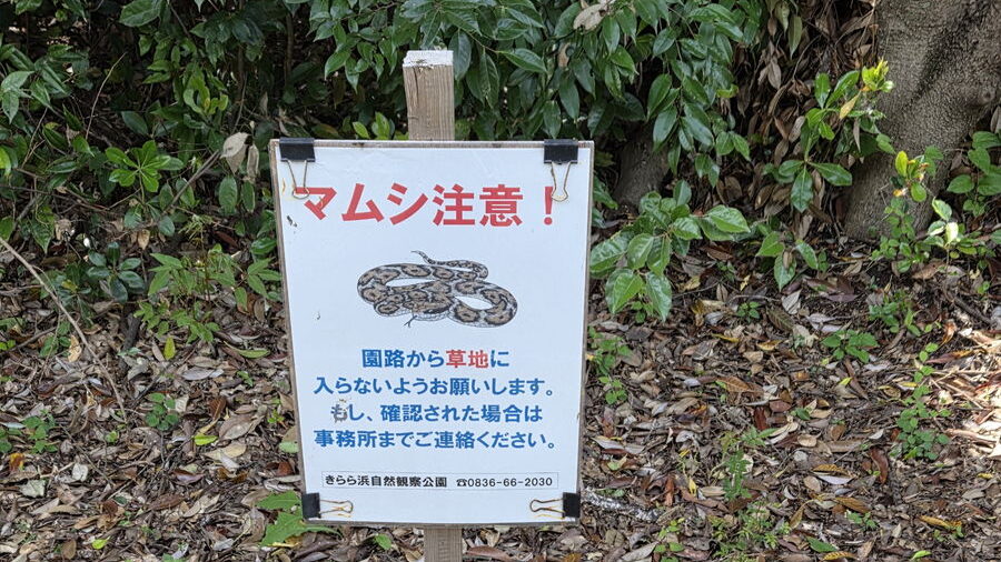 きらら浜自然観察公園内に設置されたマムシ注意の看板