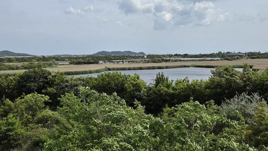 きらら浜自然観察公園の観察展望棟から見た景色