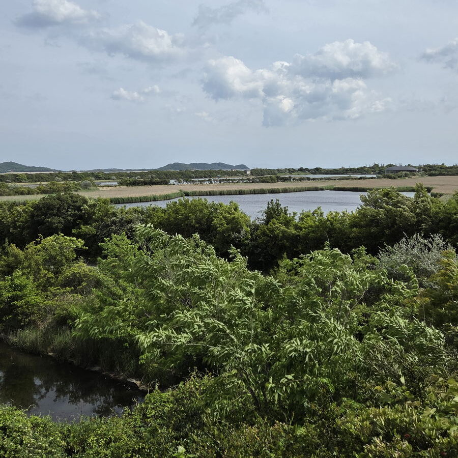 きらら浜自然観察公園の観察展望棟から見た景色
