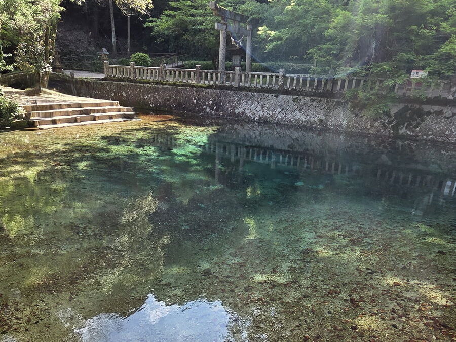 明暗のついた別府弁天池