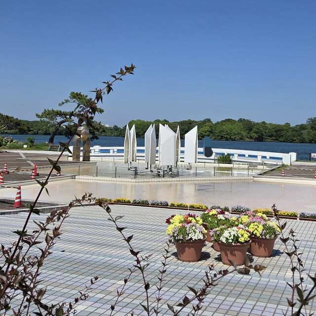 ときわ公園の噴水池