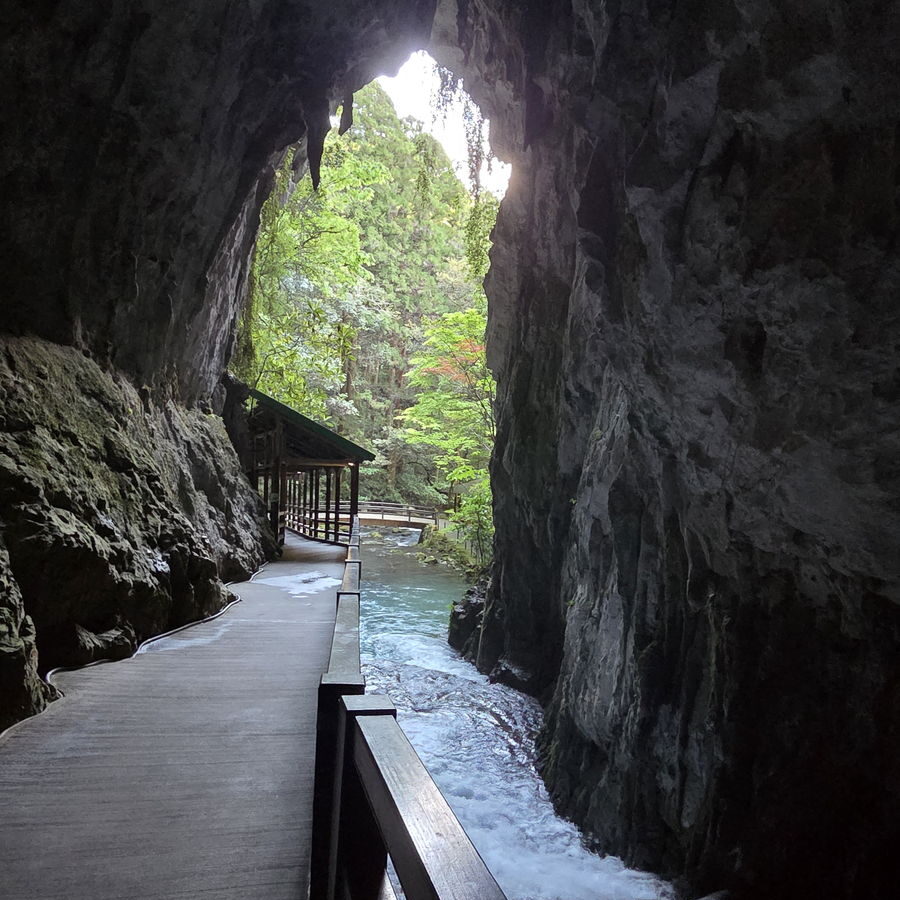 中から見た秋芳洞の入口