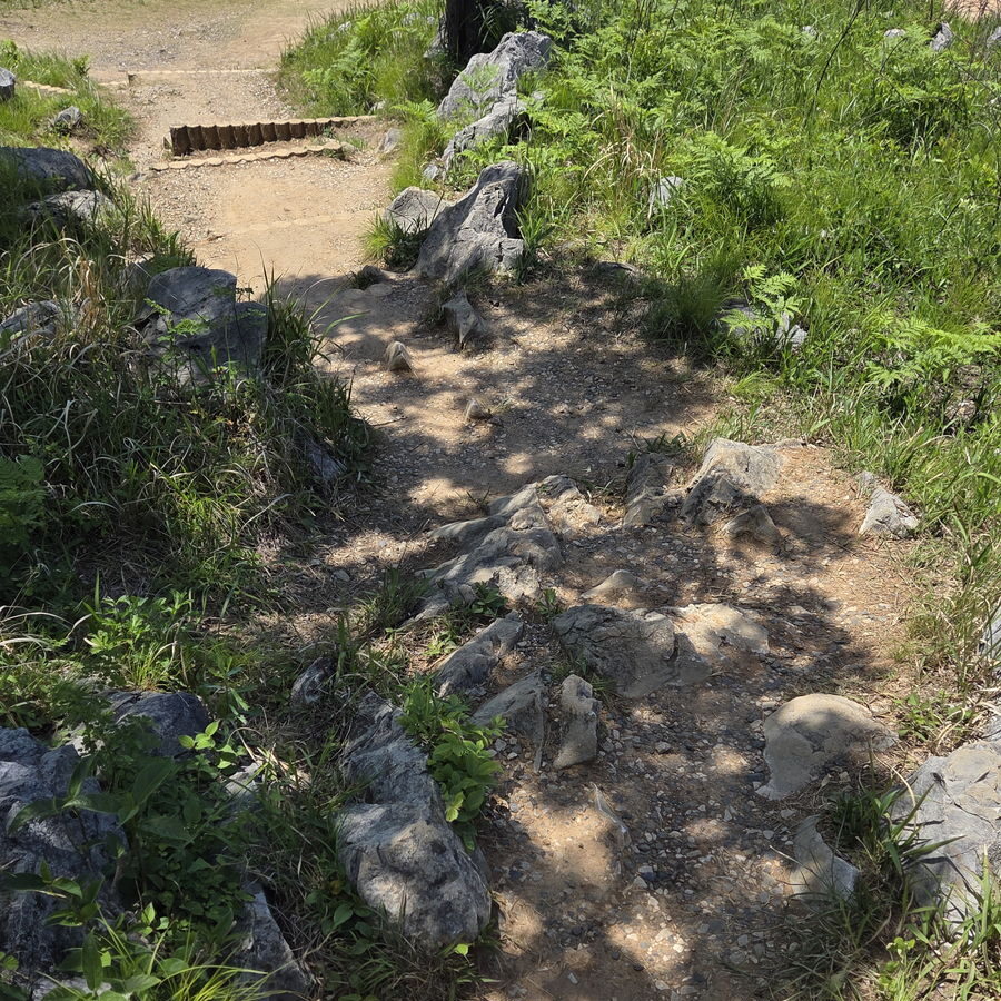 秋吉台の段差や岩のある悪い足場