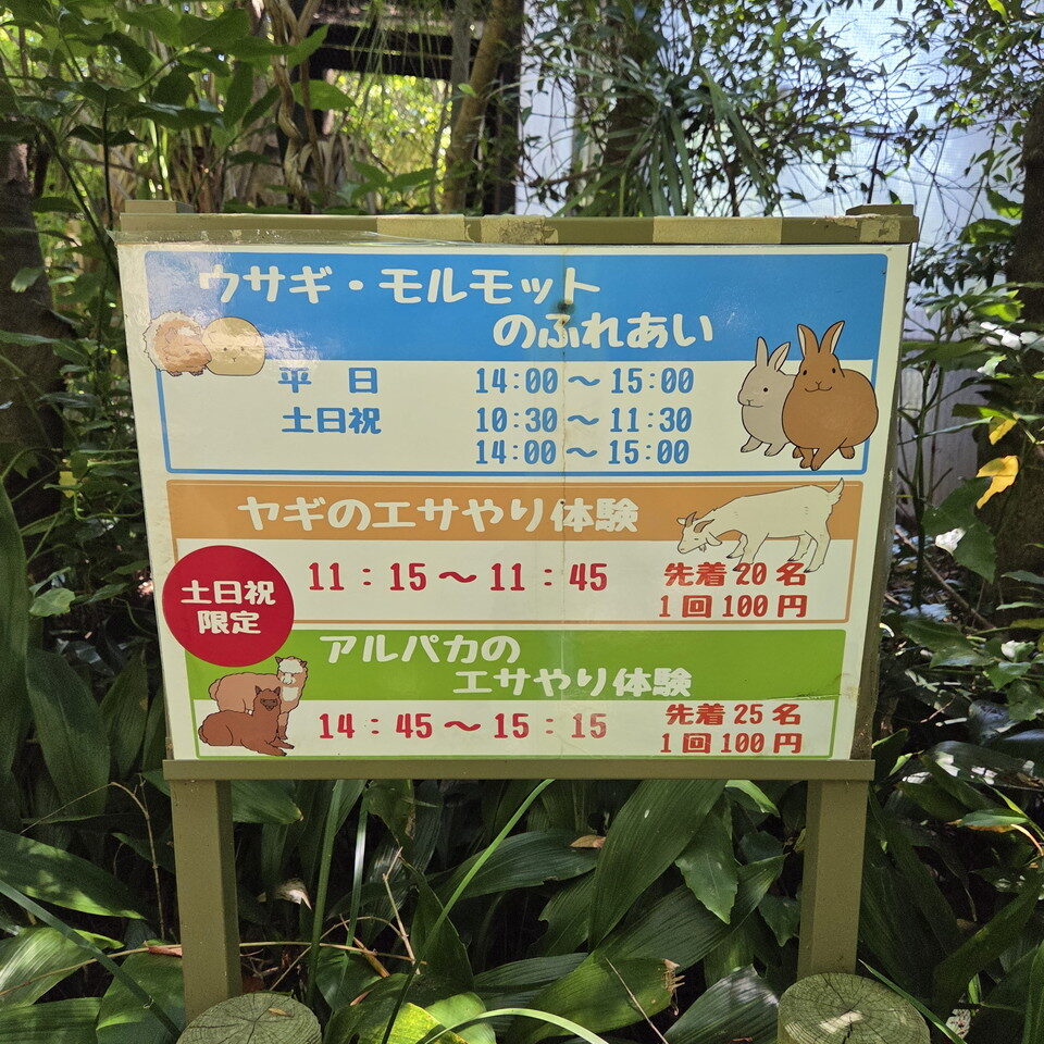 ときわ動物園のふれあい、餌やり案内板