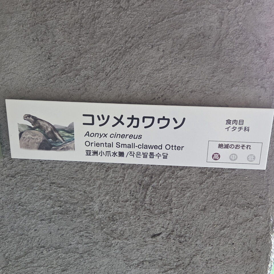 ときわ動物園のコツメカワウソの案内板