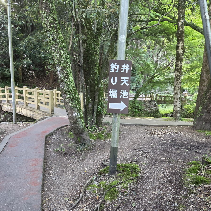 弁天池釣り堀の案内矢印