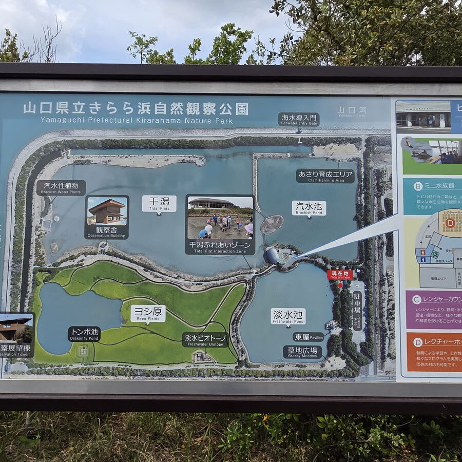 きらら浜自然観察公園入口の案内板左半分