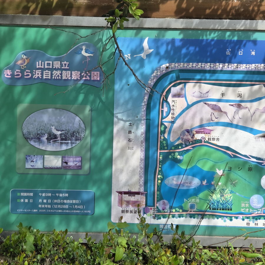 きらら浜自然観察公園の観察展望棟前の案内看板
