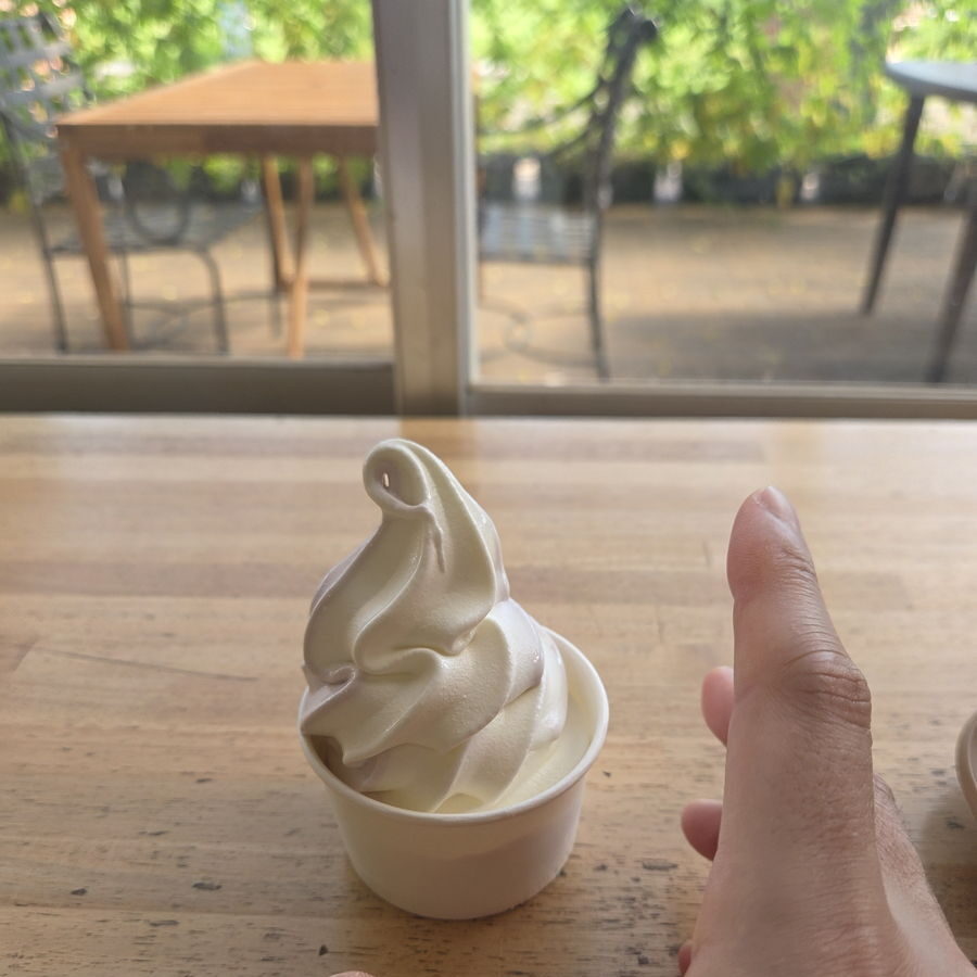 花の海のブルーベリーのミックスソフト