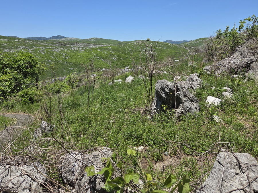 秋吉台の岩場