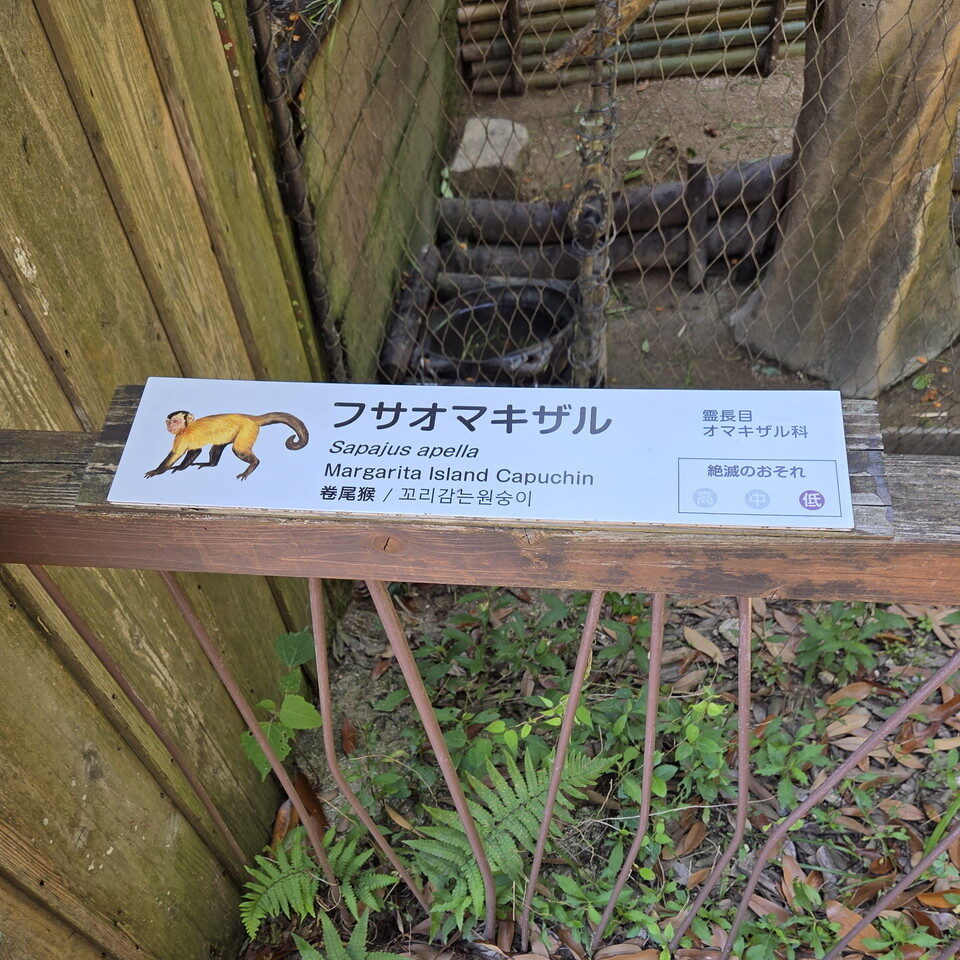 ときわ動物園のフサオマキザル案内板