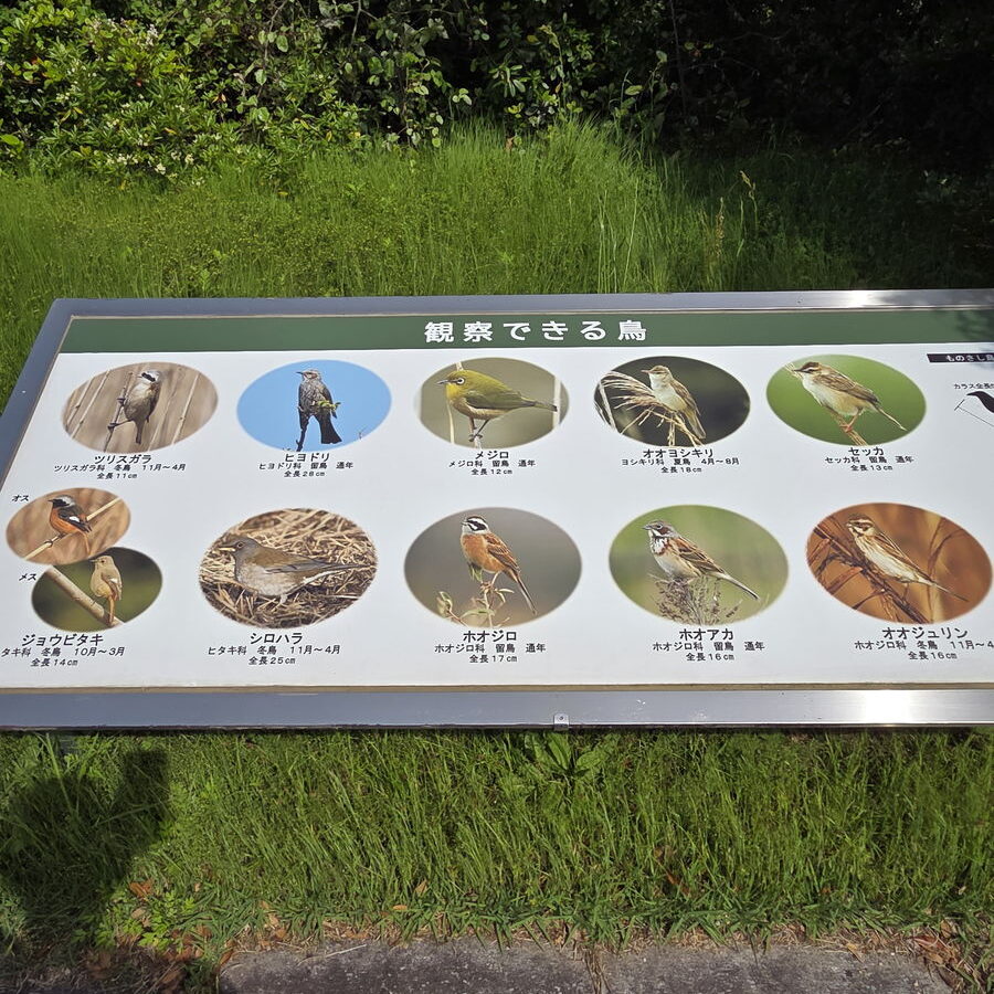 きらら浜自然観察公園の観察できる野鳥を紹介した案内パネル