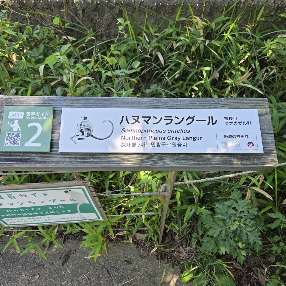 ときわ動物園のハヌマンラングールの案内板