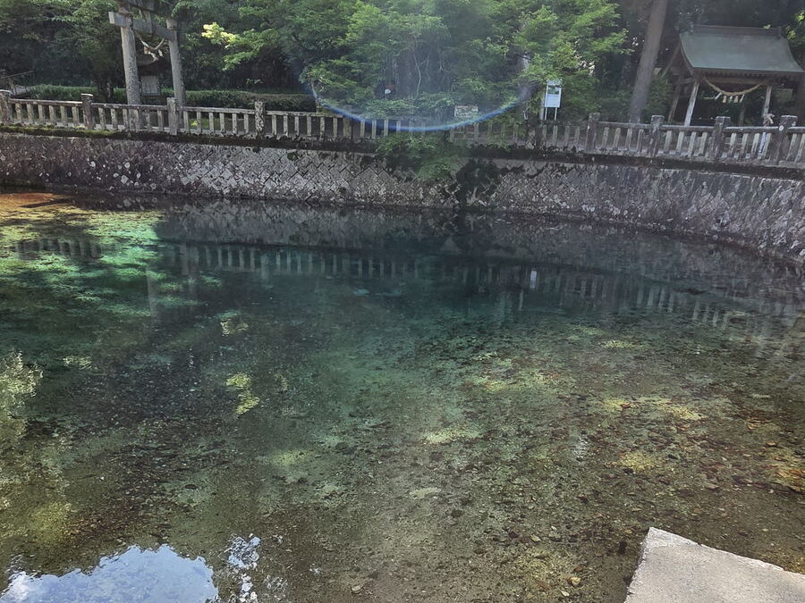 光の差し込んだ別府弁天池