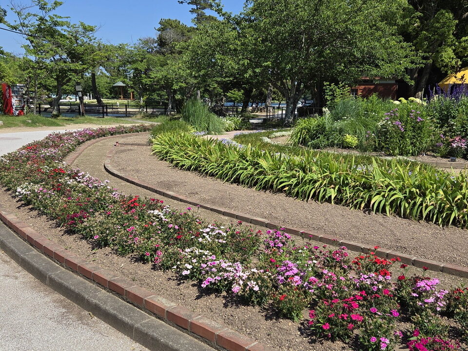 ときわ公園の花壇