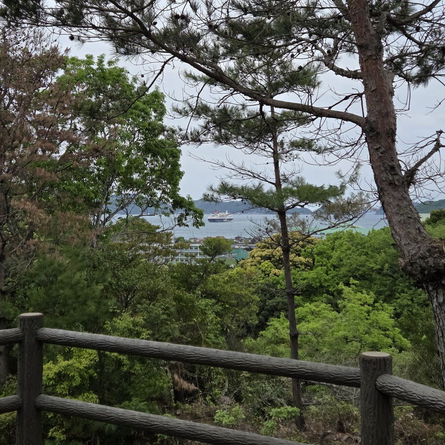 長門市総合公園の展望台から見た船